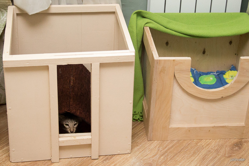 Удобное гнездо для родов ориентальной кошки