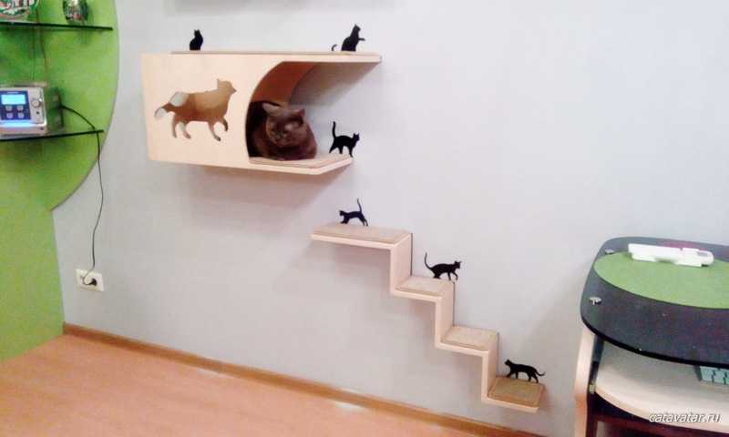 Домик для кошки. Дом для кота. Комплекс для кошек. Мебель для кошек. 