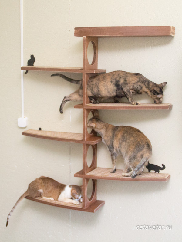 Комплекс для кошек, мебель для кошек.