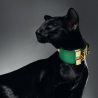 Чёрная ориентальная кошка. Питомник ориентальных кошек в Москве. Купить ориентального котёнка. Фото ориентальных кошек.